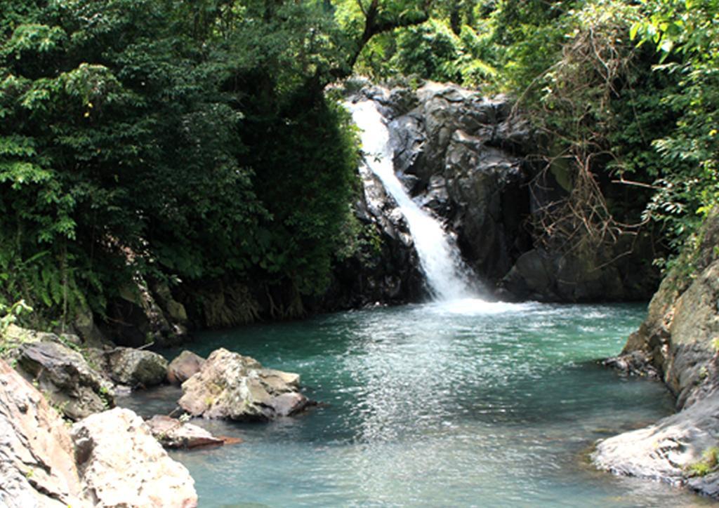 Shanti Natural Panorama View Hotel Singaraja Dış mekan fotoğraf